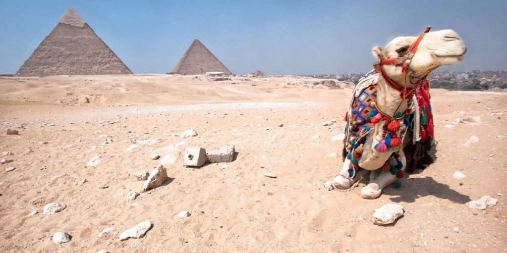 Египет. Почему его выбирают туристы?