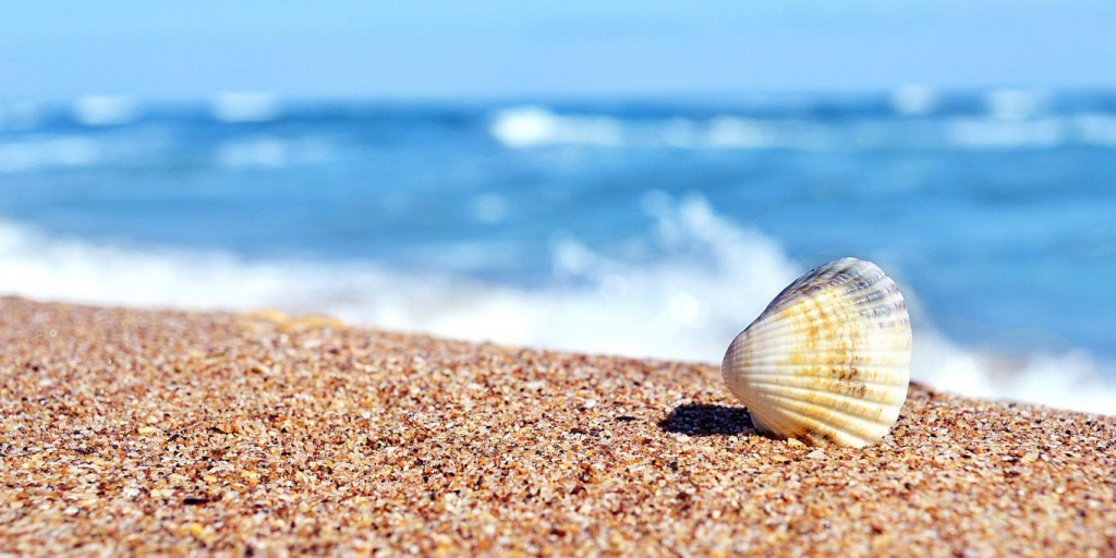 Курортный сбор в Крыму